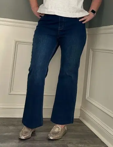 Soft Surroundings pull on jeans size Large