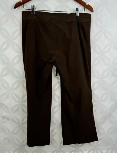 Mountain Hardwear  Ellinor Capri Pants Brown Hiking Size 8