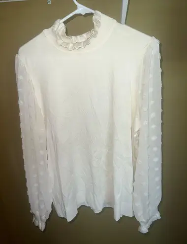 Ling Sleeve Turtleneck Blouse Size XL