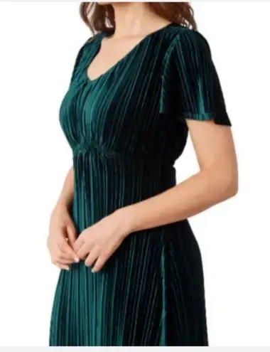 Briggs New York Briggs Ladies Pleated Velvet Dress NWT