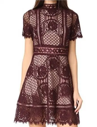 BB Dakota  Burgundy Aria Lace Short Sleeve Fit & Flare Party Dress W-723 Sz 4