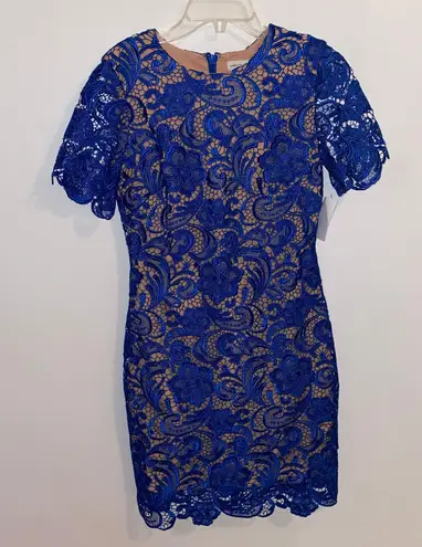 Dress the Population NWOT $198 Cobalt Anna Crochet Lace Sheath Dress S