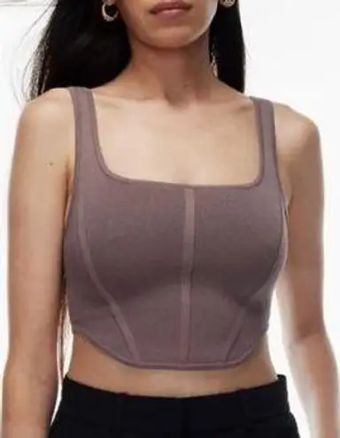 Babaton Aritzia  Sculpt Knit Bustier Crop Top