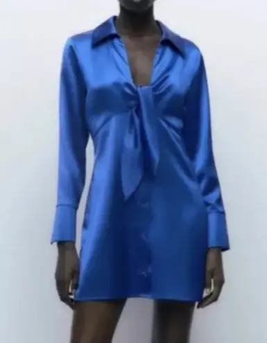 ZARA Mini Dress