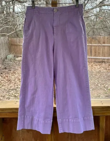 Pilcro and the Letterpress Anthropologie Pilcro Ultra High Rise Purple Cropped Wide Leg Jeans Size 29