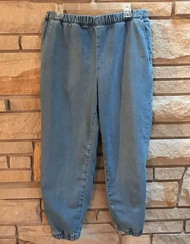 Madewell  Sweatpant Jeans in Nealy Wash Medium