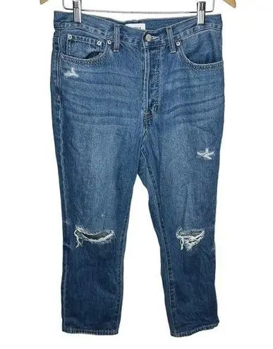 Pistola High Rise Distressed Button Fly Boyfriend Jeans Size 28