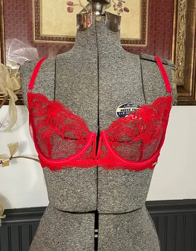 NWT Bluebella Marseille Plunge Underwired Embroidered Red Mesh Bra Sz 30DDD 💚🎀