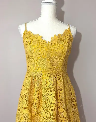 ASTR The Label Marigold Lace A-Line Midi Dress