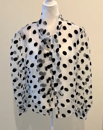 Strut & Bolt NWT Sheer Polka Dot Tie Neck Blouse Sz L