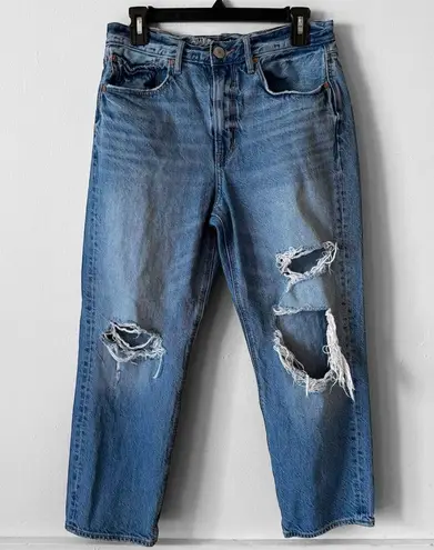 AE American Eagle Jeans Womens 90s Boyfriend Ripped Distressed Denim SZ 6 Short Blue