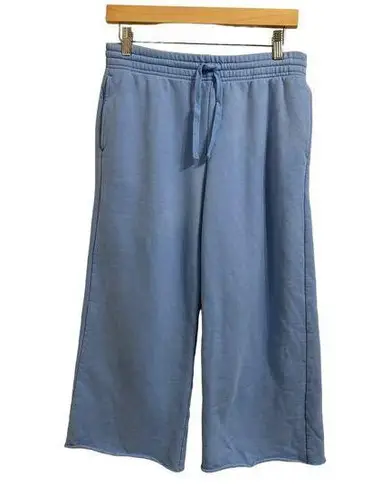 Girlfriend Collective  cropped 50/50 wide leg sweatpant sky blue size Medium