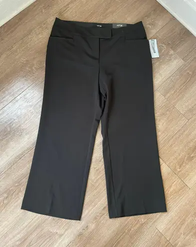 Apt. 9 NEW black trousers dress pants modern fit stretch women’s size 16WS