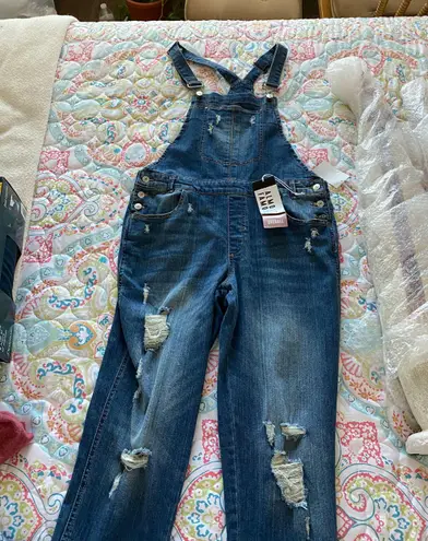 Almost Famous Distressed Overalls