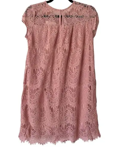 Rebellion NWT Again Mauve Pink Floral Lace Overlay Shift Dress Size Small