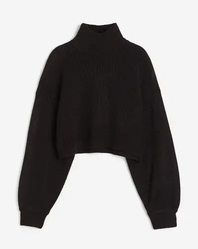 Divided Cropped Turtleneck Sweater