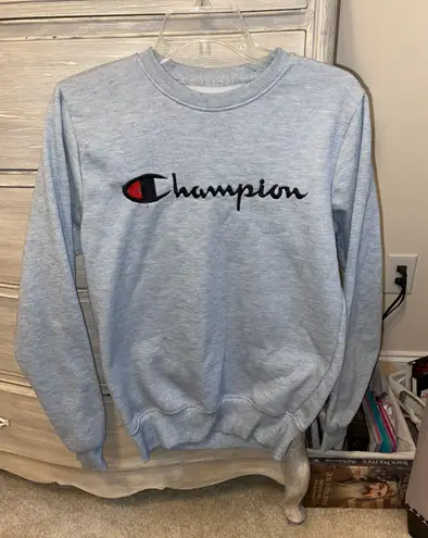 Champion Gray Sweater