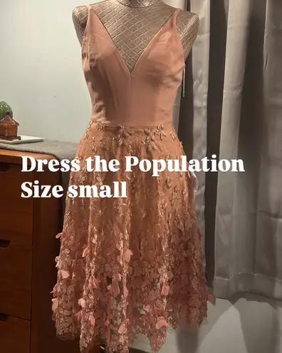 Dress the Population NWT Darleen V-neck Embroidered Cocktail Blush Dress Small