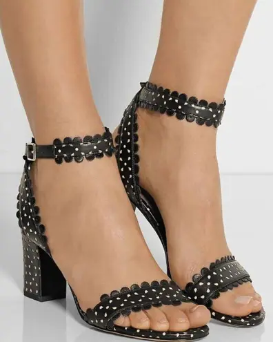 Tabitha Simmons Leticia Perforated Sandals Scalloped Leather Black Women's 38 7