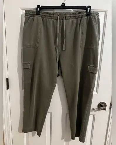 Caslon Women's Plus Utility Organic Cotton Pants Size 2X