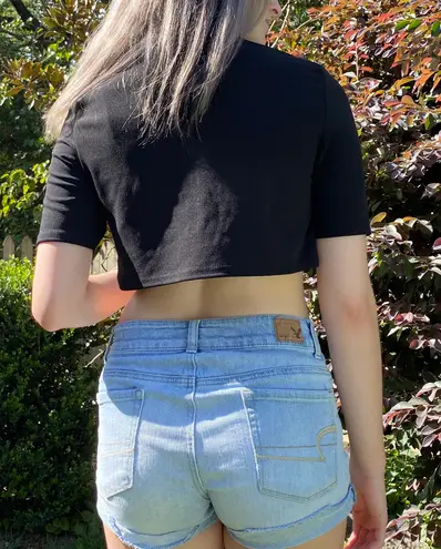 Nasty Gal nwt  cropped tee