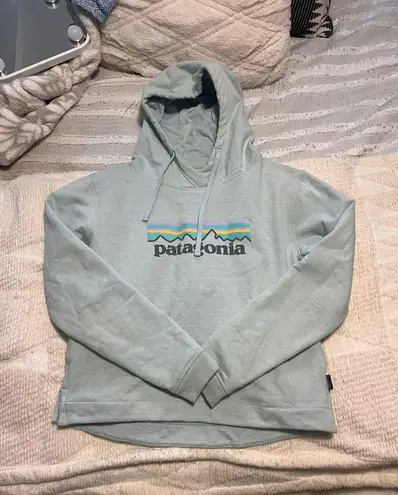 Patagonia Hoodie