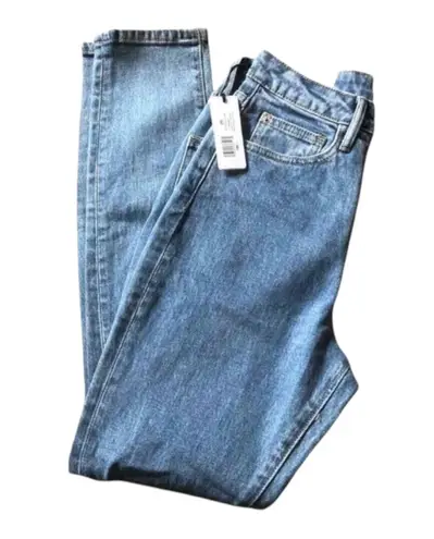 We Wore What NWT The Danielle High Rise Straight Jean in Spring St Hole, 25