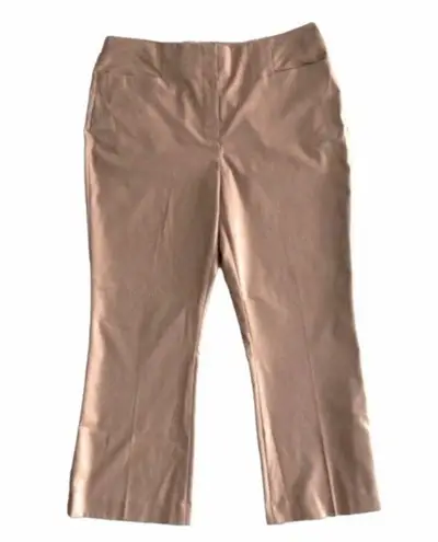 Donna Karan Pants Autumn Breeze Straight Leg Suit Separates Size 10 New w/Tag