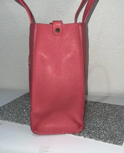 Danielle Nicole purse