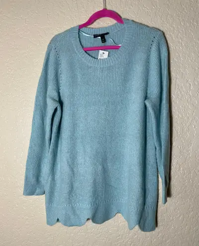 Lane Bryant Light Blue Lightweight Sweater