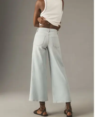 Frame Anthro Le Palazzo High-Rise Crop Wide-Leg Jeans