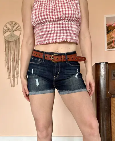 Levi Strauss & CO. High Waisted Shorts