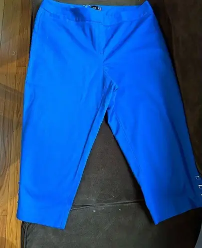 Rafaella Curvy Capri Pants SZ 12 1 Button Zipper And 2 Clip Hooks Front Closure