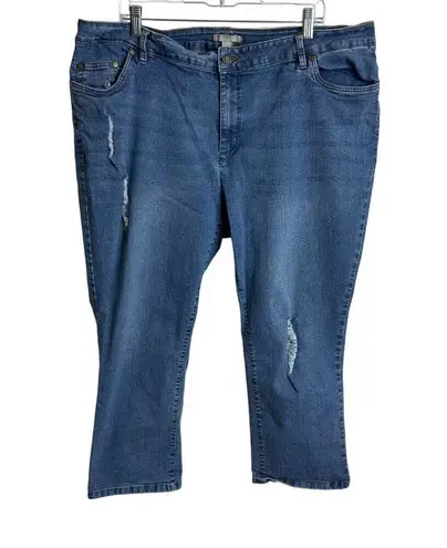 Woman Within Distressed Denim Jeans Size 22W From Bangladesh