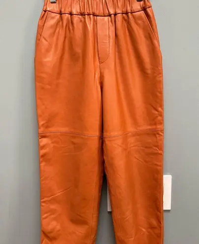 Genuine Sheepskin Leather Pull On Pants in Caramel XS Brown