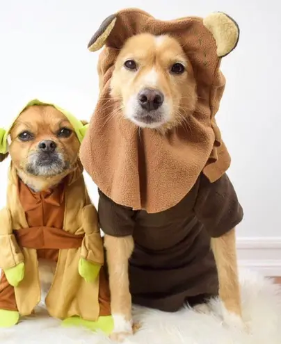 Hooters Bin35#4 New Girl Uniform Tank Top From Clearwater FL Cracking Black XS