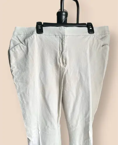 Alfani Pants