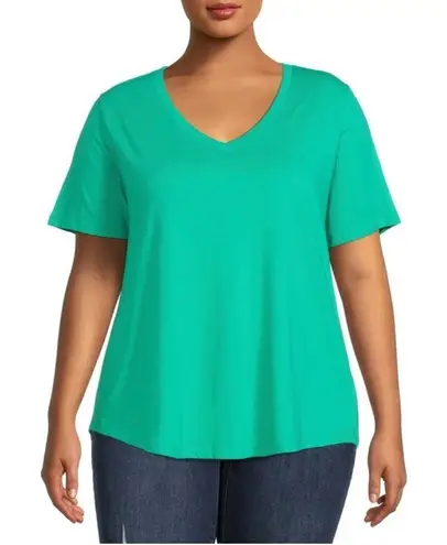Terra & Sky Green V Neck Short Sleeve Top Size 2X
