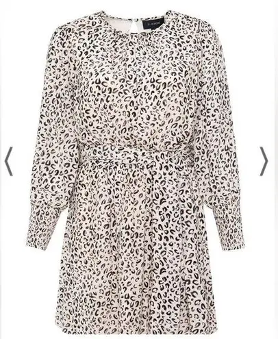 11 Honoré 11 Honore Collection Valentina Animal Print Skater Dress SZ 14