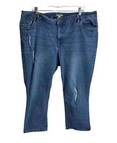 Woman Within Distressed Denim Jeans Size 22W From Bangladesh