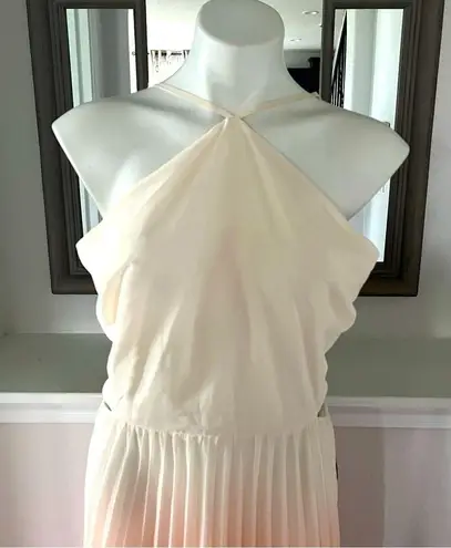 Rachel Roy Cut Out Zippered Pleated Ombré Maxi Dress Size 14 New w/Tag MSRP $169