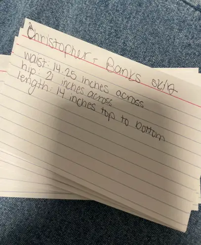 Christopher & Banks vintage skirt