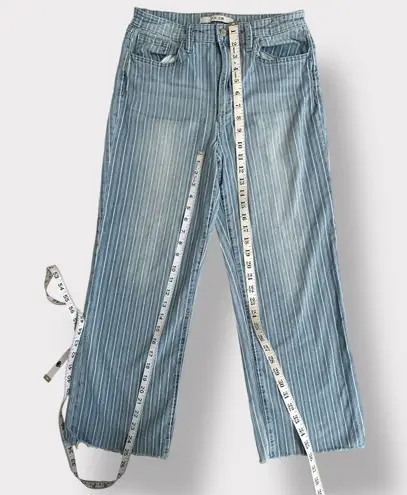 Joes Jeans pinstriped mom capri size 29 Blue