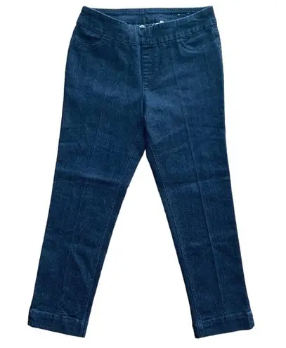 Soft Surroundings Super Stretch Pull-on Ankle jeans petite medium