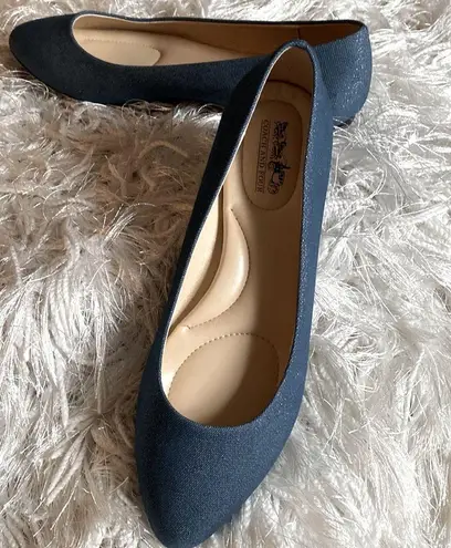 Coach and Four Women’s Juliette Chambray with Metallic Shimmer Pointed Toe Flats Blue Size 8.5