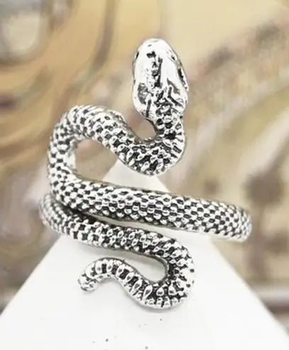 Snake Ring Silver