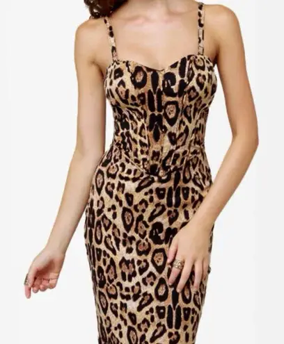 Tripp NYC Fitted Leopard Print Dress Black Size XS