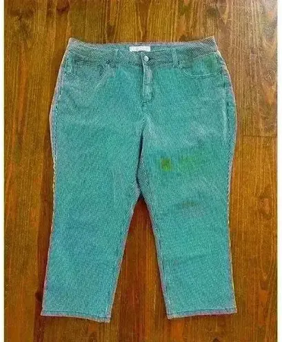 Cato's Denim Railroad Striped High Rise Skinny Crop Jeans,16W Blue