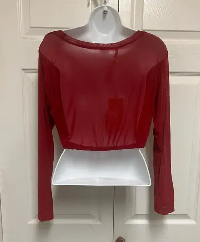 Pretty Angel Wine Sheer Cropped Mesh Top