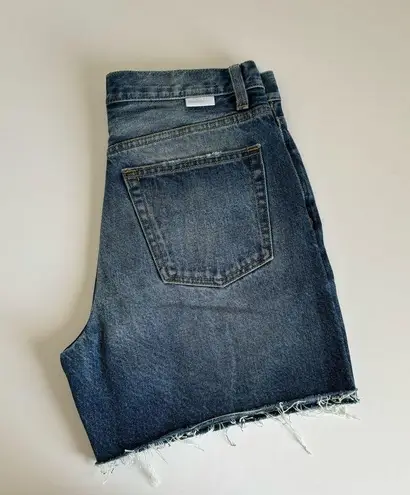 Boyish The Monty Miss Julie Blue High Rise Relaxed Denim Shorts Size 27 NWT